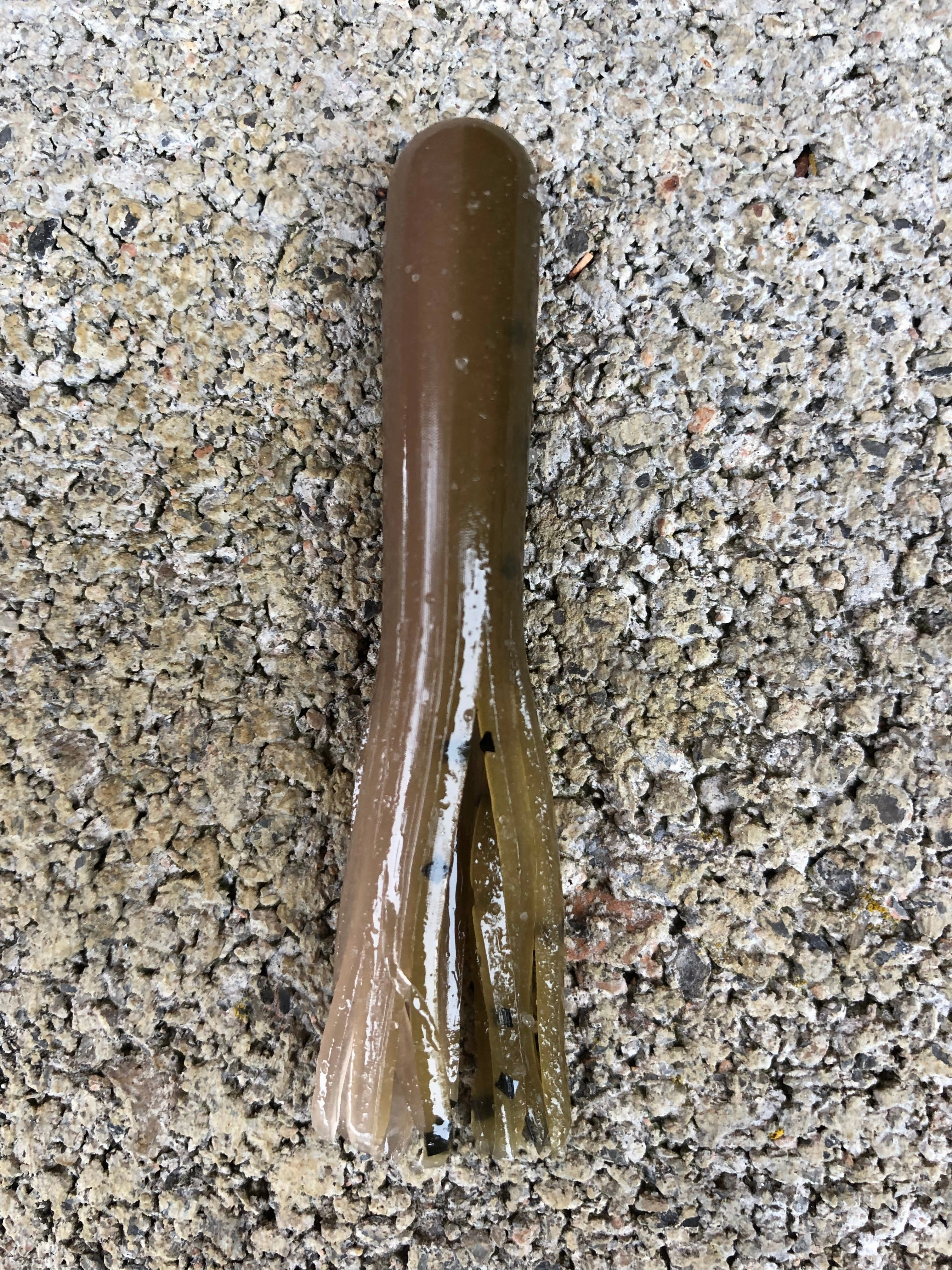 2.75 Finesse Tube (no solid head)