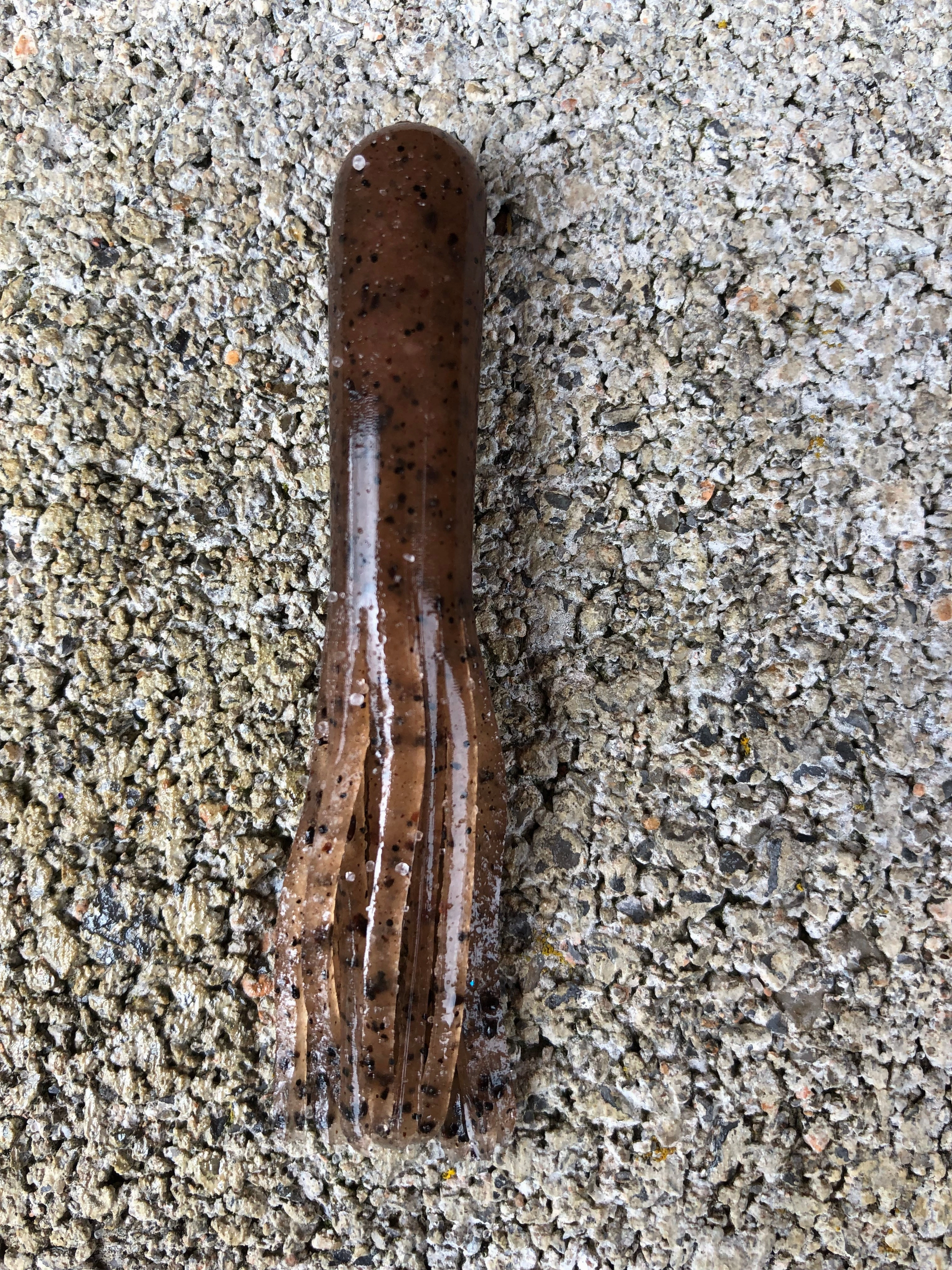 2.75 Finesse Tube (no solid head)