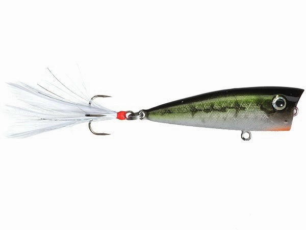 LOBINA LURES- RIO RICO